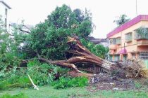 West Bengal attempts to recover from the devastation caused by the Amphan Cyclone. (Photo courtesy: AIFF Media)